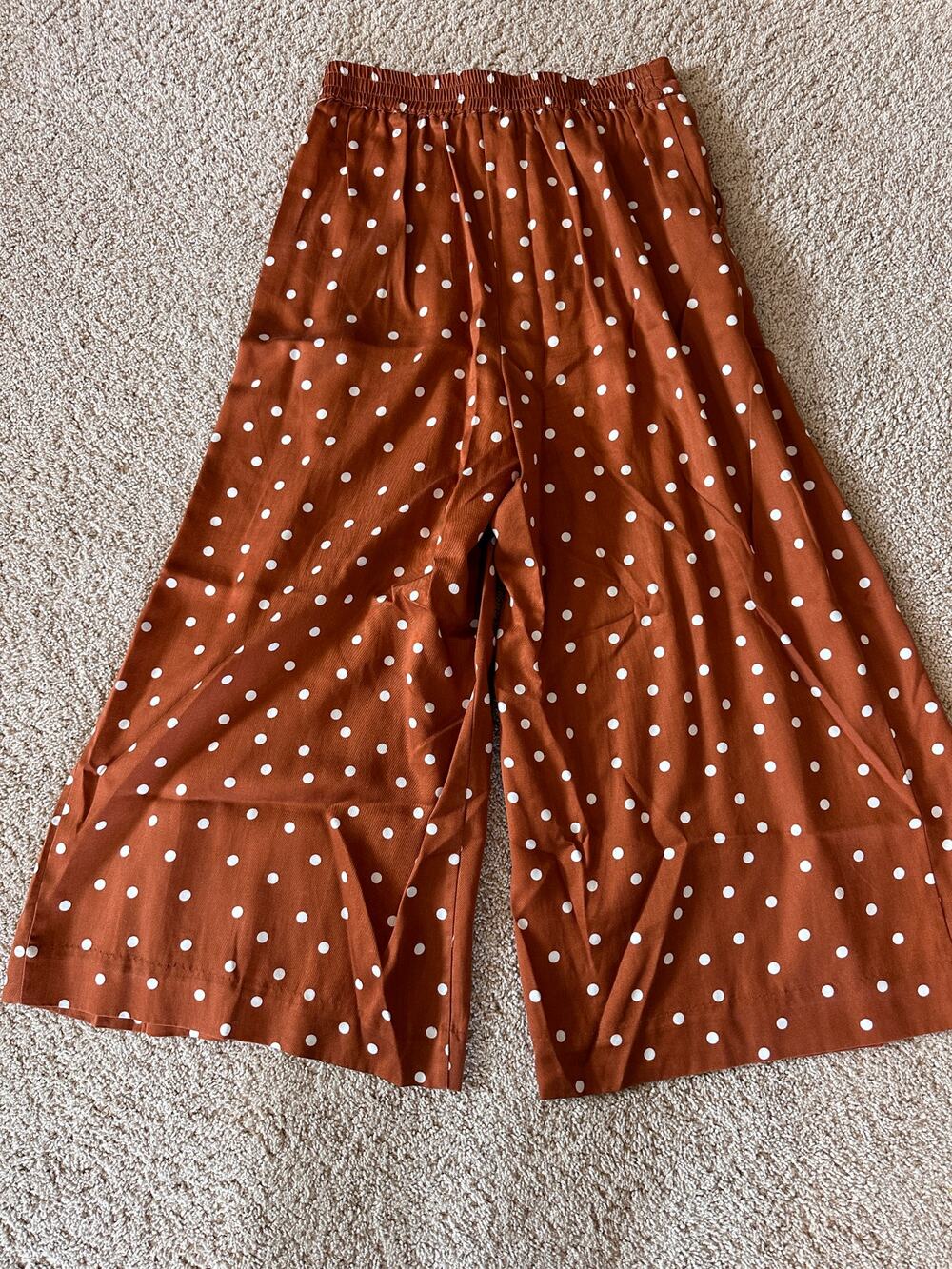 Anthropologie Isobel Pleated Wide Leg Pants